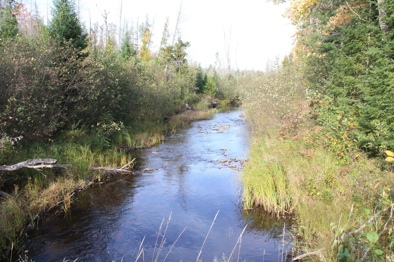 Property from 22006 Bowden Trail - KW - Hillman, Michigan, 49746