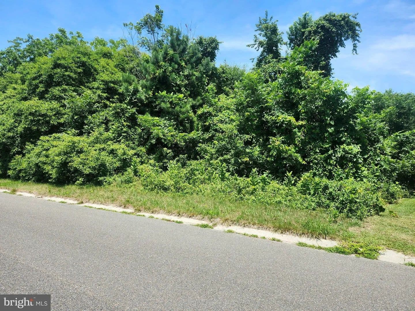 Lots & Land-Other in SALISBURY - Salisbury, Maryland, 21801