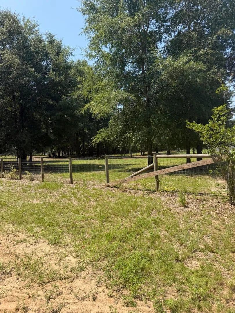 Lots & Land-Other in Windsor - Windsor, South Carolina, 29856