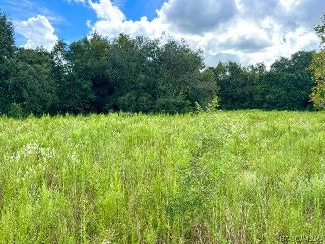 Lots & Land-Other in Inverness - Inverness, Florida, 34453