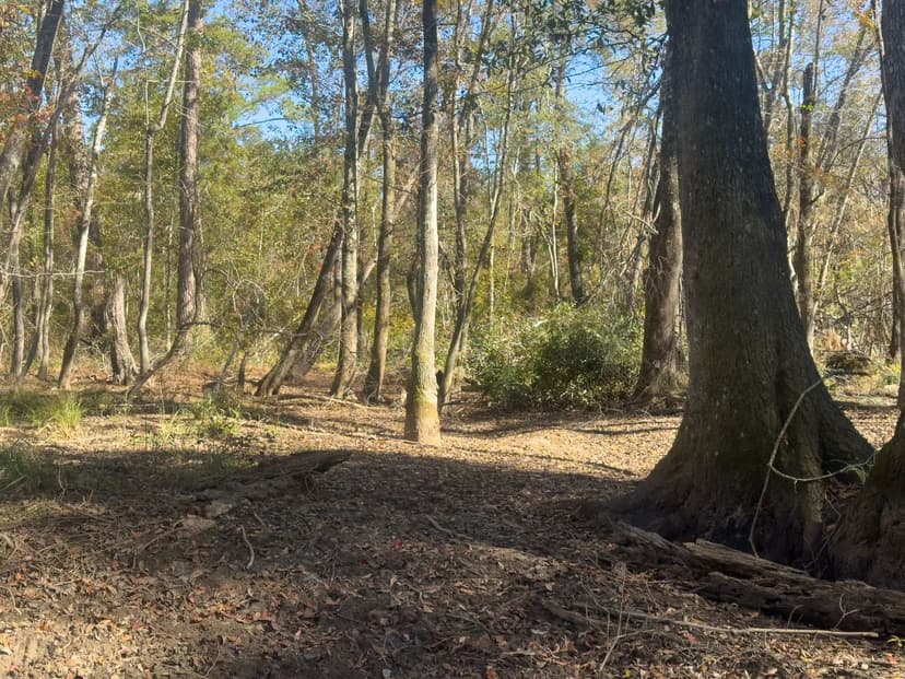 Beaver Creek Farm - Tract 2