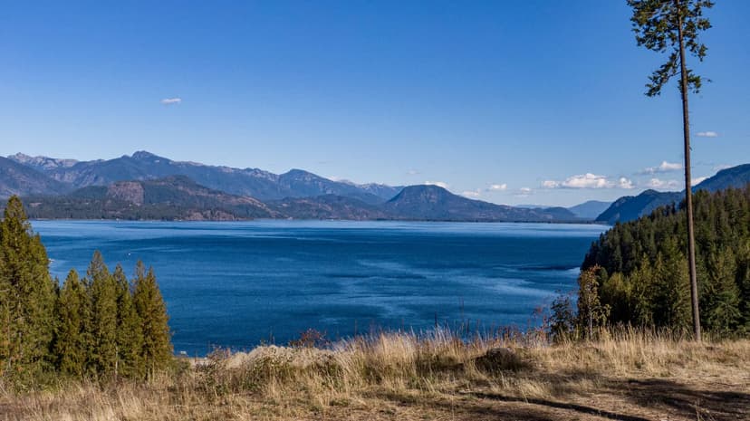 Land -Single Family Acreage in Sagle