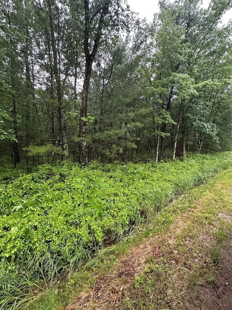 Vacant Land in Hatfield - Hatfield, Wisconsin, 54754