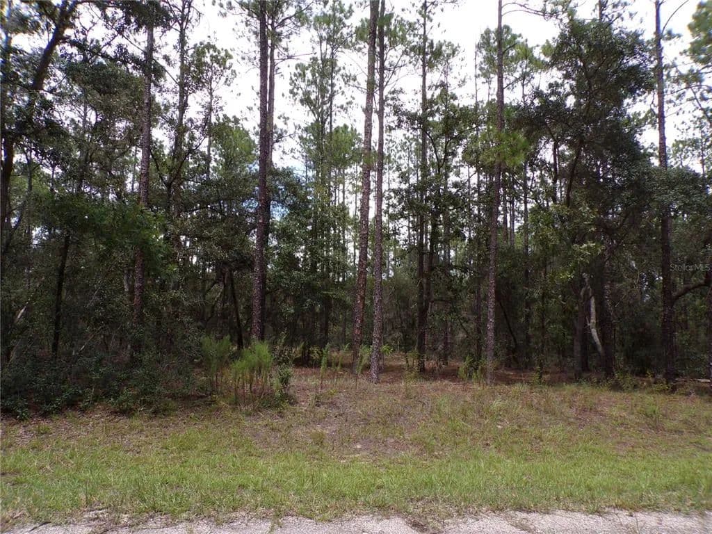 Vacant Land in Citrus Springs - Citrus Springs, Florida, 34434