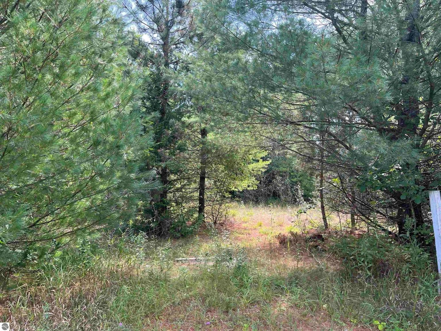 Vacant Land in Greenbush - Greenbush, Michigan, 48738