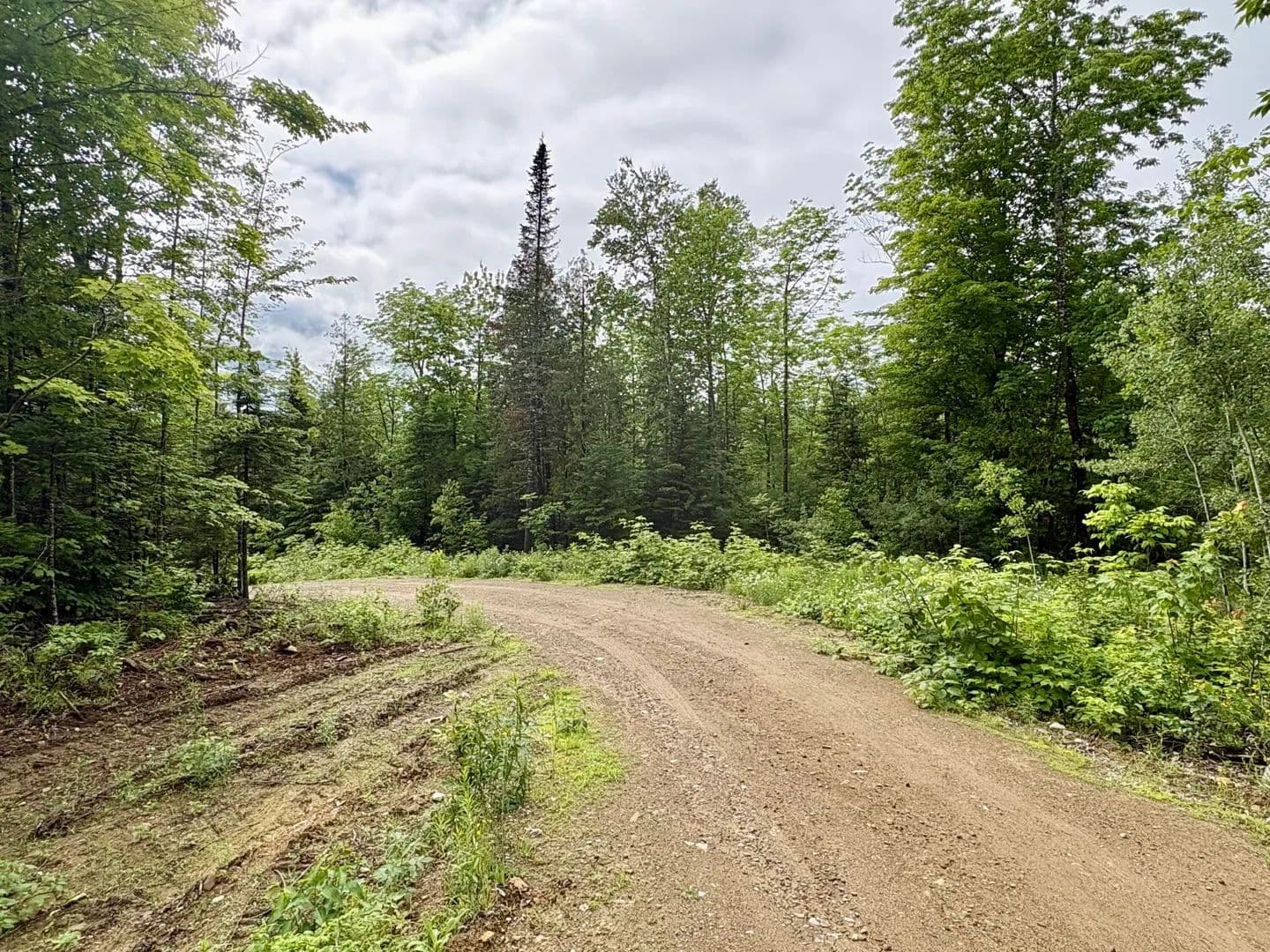 1.08 Acres of Land for Sale in Lee, ME - Lee, Maine, 04455