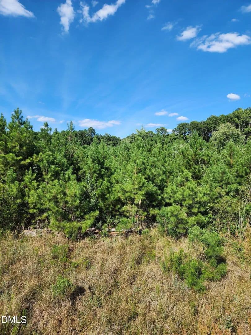 Vacant Land in Apex - Apex, North Carolina, 27539