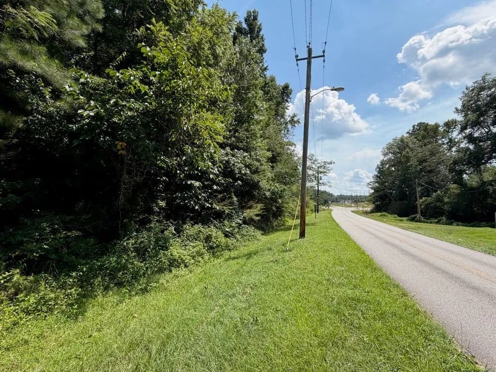 12+/-AC HWY 50 Chambers Cty - Lafayette, Alabama, 36862
