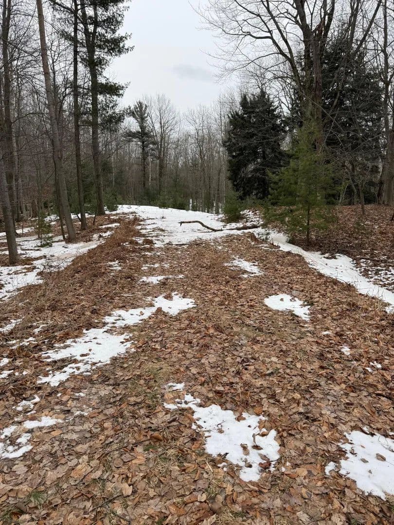 Lots & Land-Other in Manistee