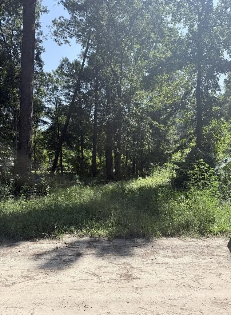 Vacant Land in Midway - Midway, Georgia, 31320
