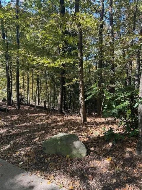 Vacant Land in Atlanta - Atlanta, Georgia, 30327
