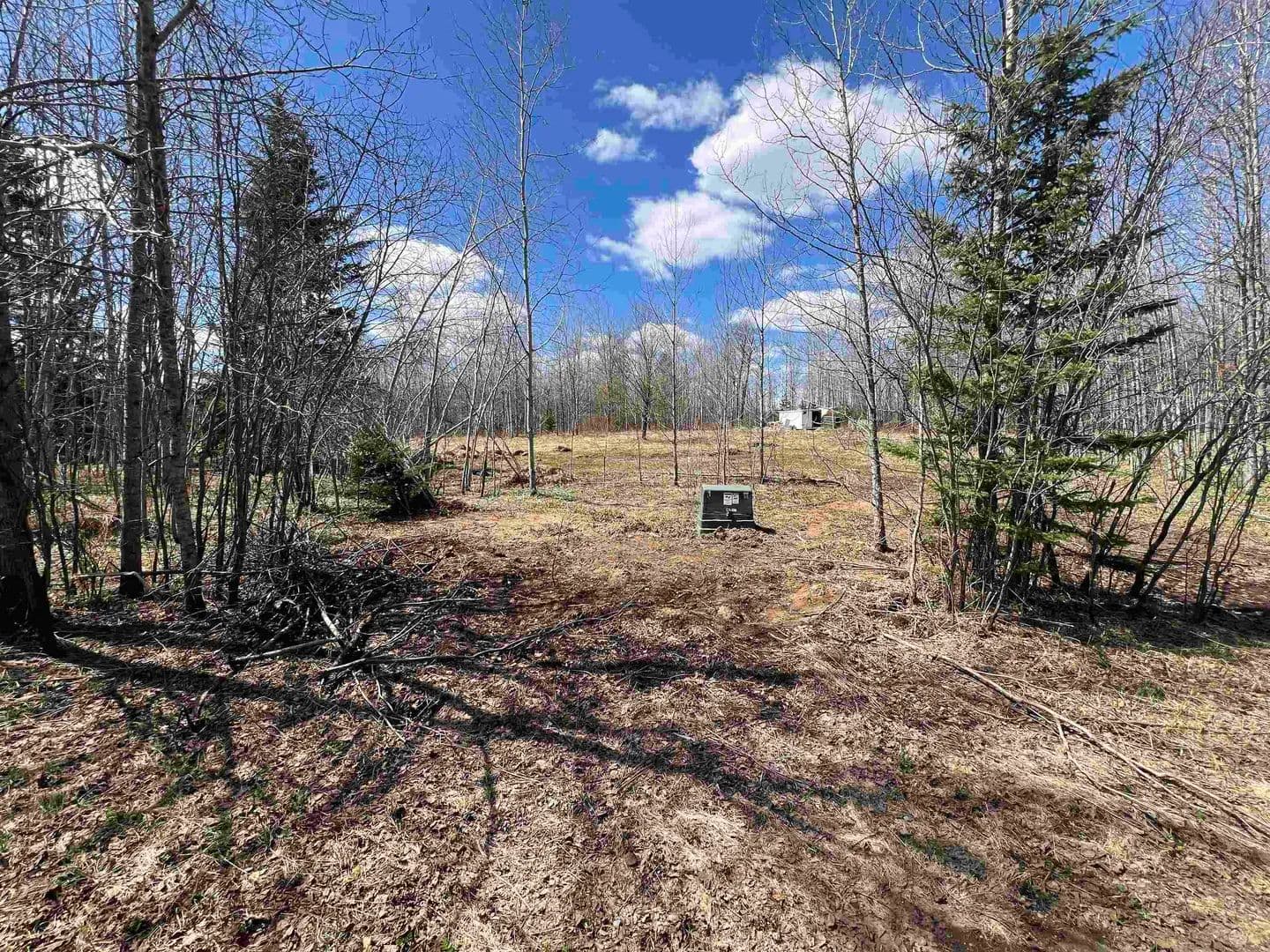 5 Acres of Land for Sale in Tipler, Wisconsin - Tipler, Wisconsin, 54542