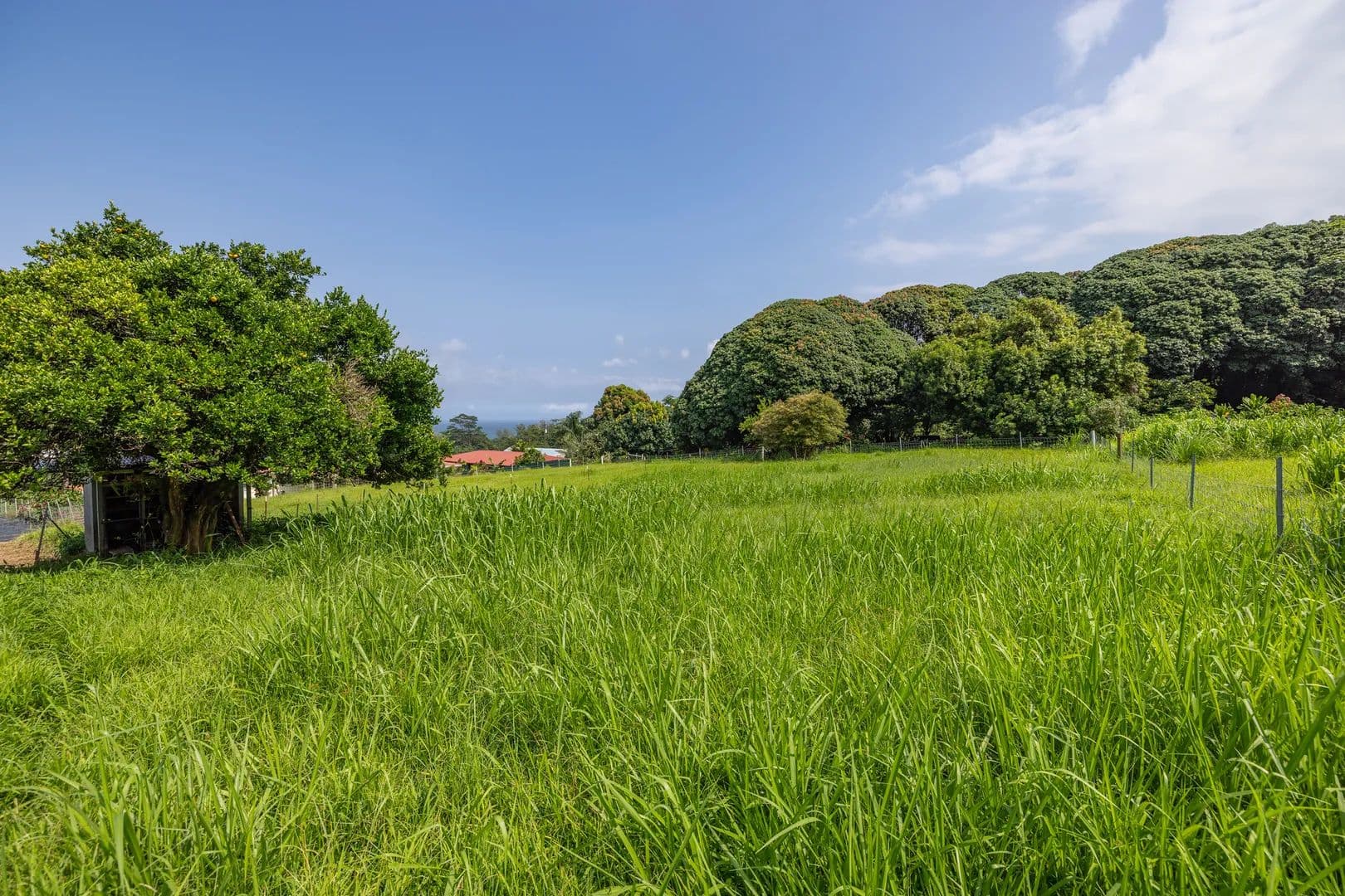 Vacant Land in Hakalau - Hakalau, Hawaii, 96710