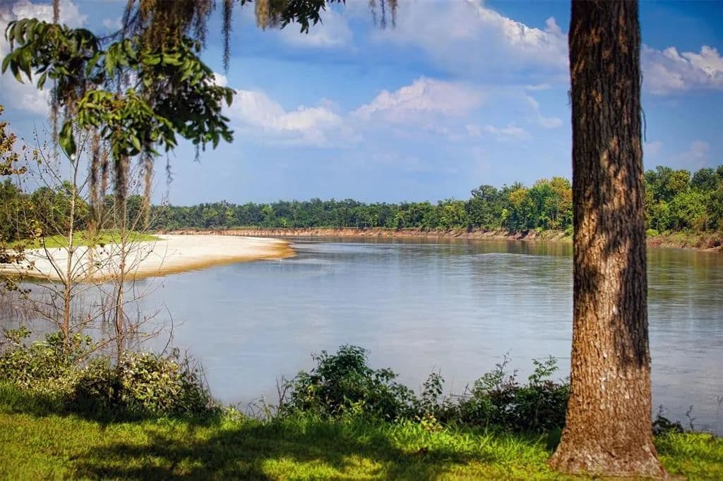 0.21 Acres of Land for Sale in Cleveland, TX - Cleveland, Texas, 77327