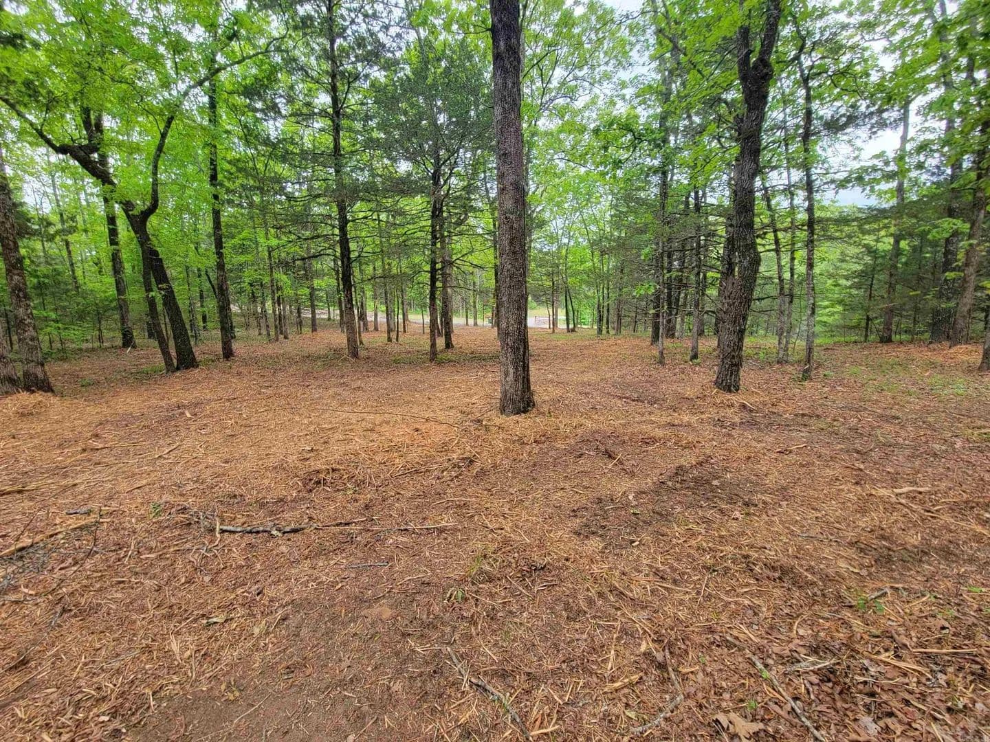 Lots & Land-Other in Greenbrier - Greenbrier, Arkansas, 72058