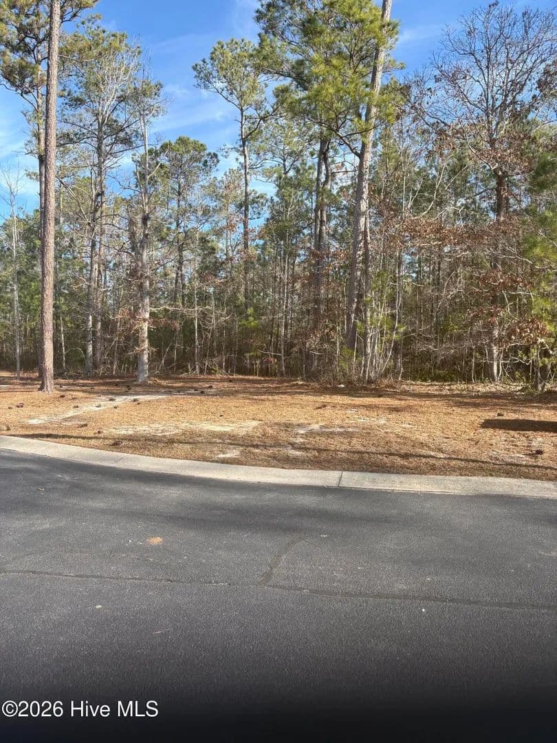 Vacant Land in Bolivia - Bolivia, North Carolina, 28422