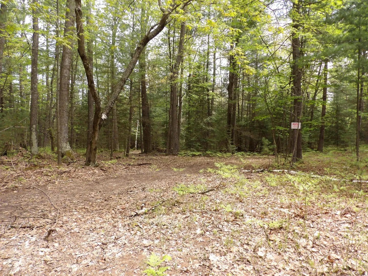 Vacant Land in St. Helen - Michigan, 48656