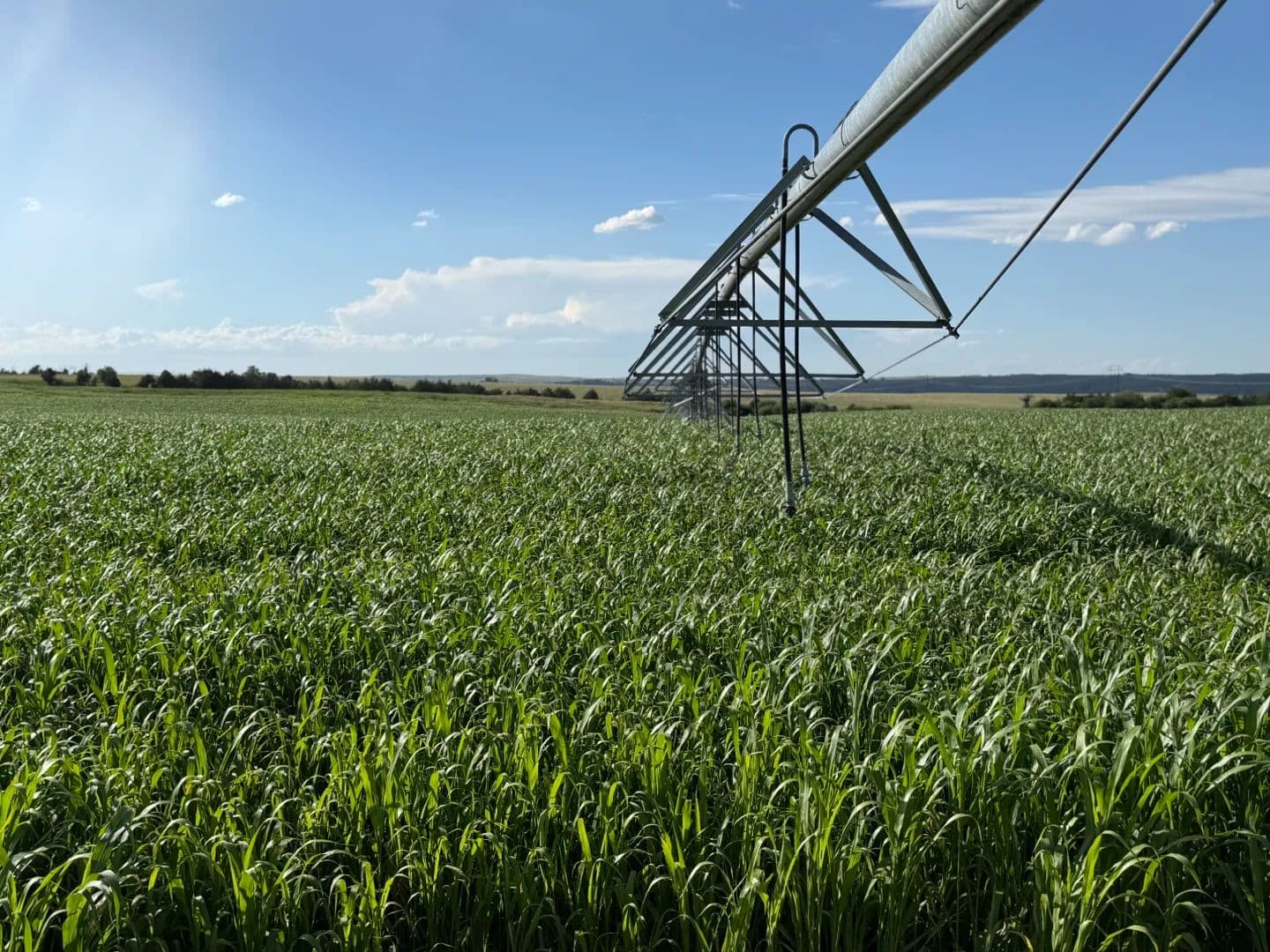 Holscher Pivot Auction - Ogallala, Nebraska