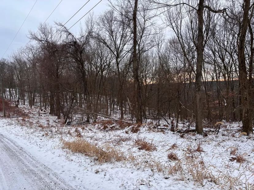 Lots & Land-Other in New Cumberland