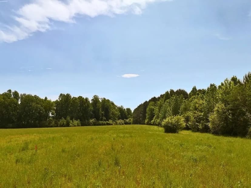 11.28 acres of Residential Development Land For Sale in Duplin County, NC!