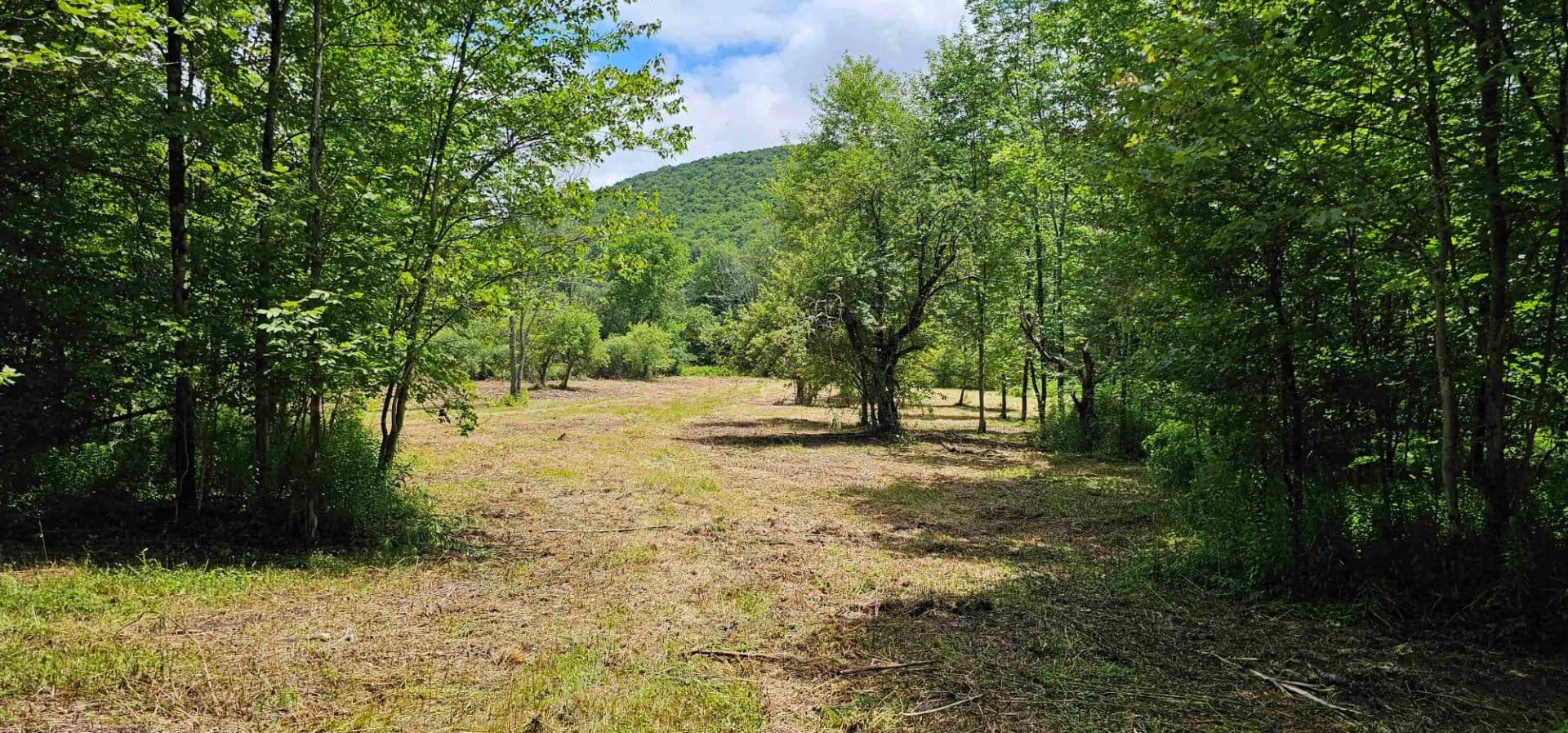 30 acre Partially Wooded Hunting and Recreational Property in Marathon NY 1233 Route 221 - Marathon, New York, 13803