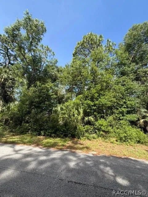 Lots & Land-Other in Crystal River - Crystal River, Florida, 34429