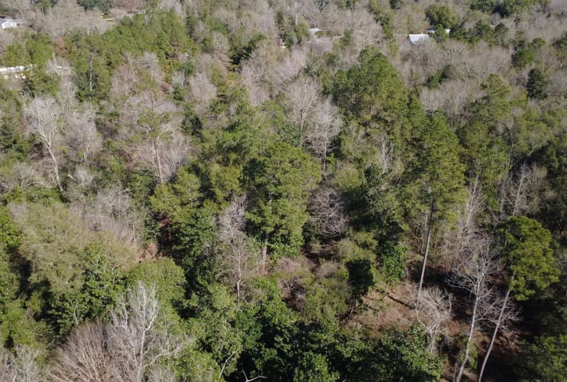 53.63 Acres in Washington Parish in Bogalusa, LA