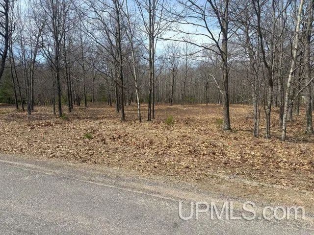 Vacant Land in Gladstone - Gladstone, Michigan, 49837
