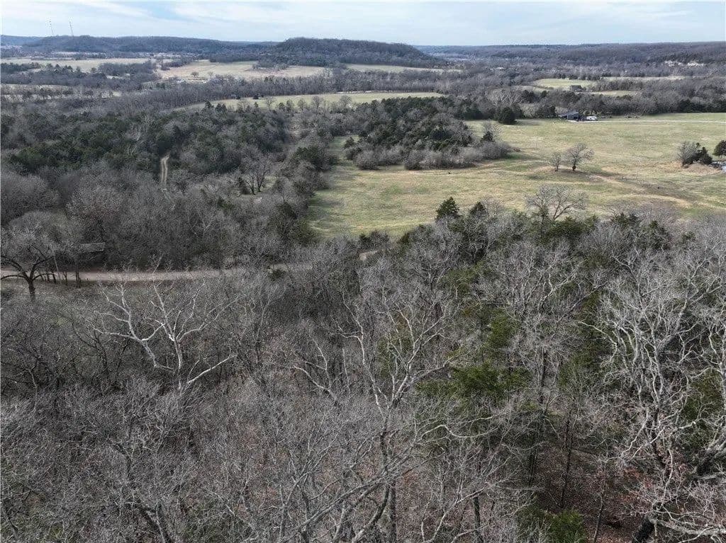 Lots & Land-Other in Pineville - Pineville, Missouri, 64856