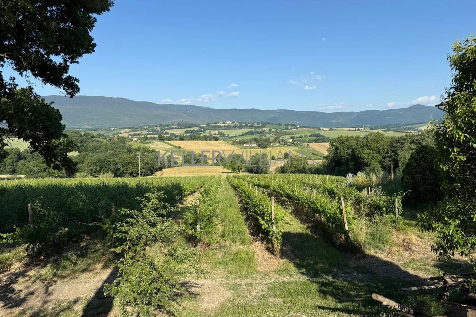 AAzienda vitivinicola a Collevalenza, a breve distanza da Todi - Italy