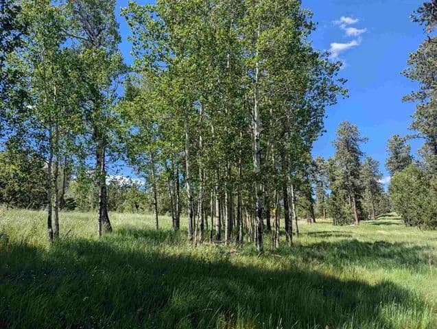 Vacant Land (0-10 Acres) in Lead - Lead, South Dakota, 57754