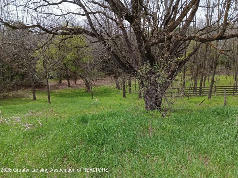 Lots & Land-Other in Owosso