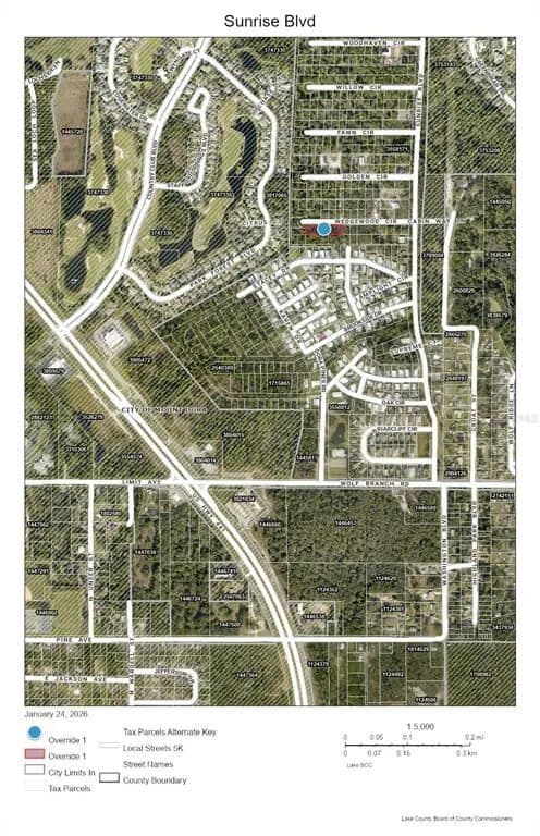 Vacant Land in Mount Dora - Mount Dora, Florida, 32757