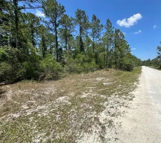 Vacant Land in Webster