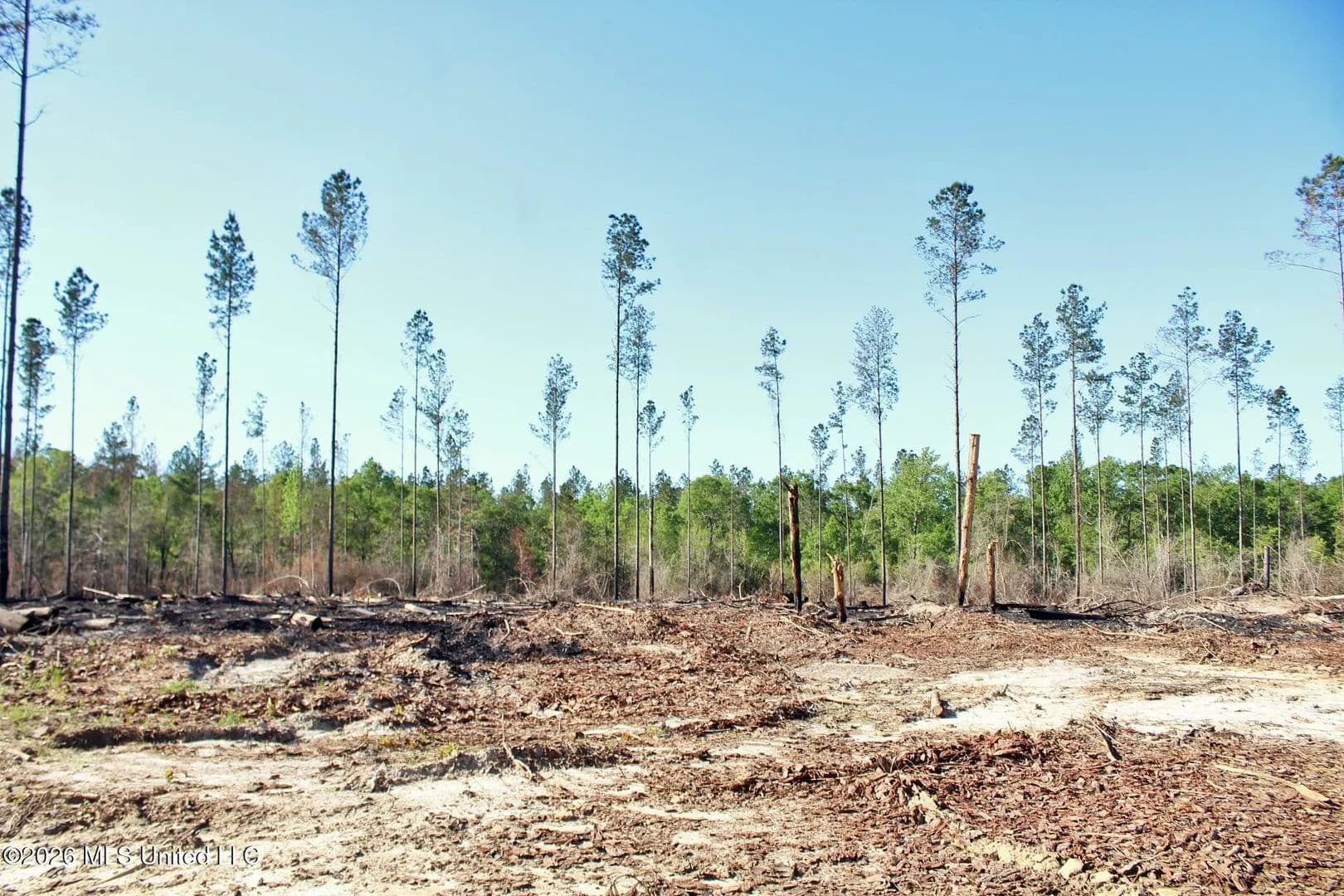 Lots & Land-Other in Lucedale - Lucedale, Mississippi, 39452