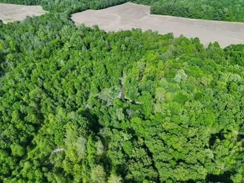 90 Acres in Ohio County, KY 