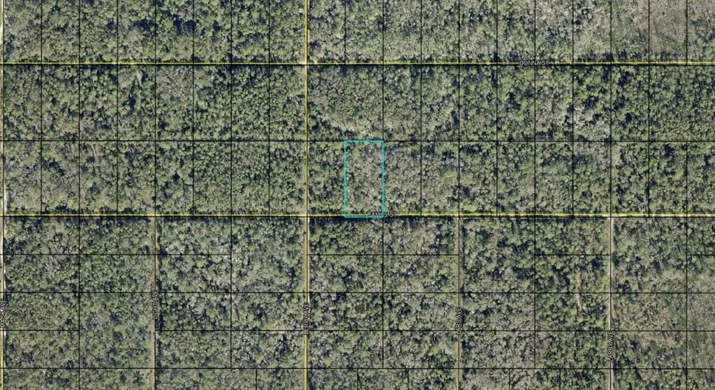 Vacant Land in Hastings - Hastings, Florida, 32145