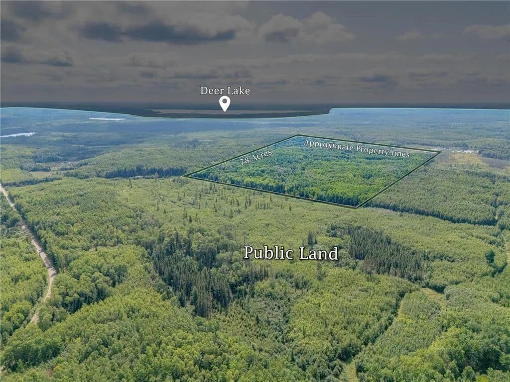 Vacant Land in Effie - Effie, Minnesota, 56639
