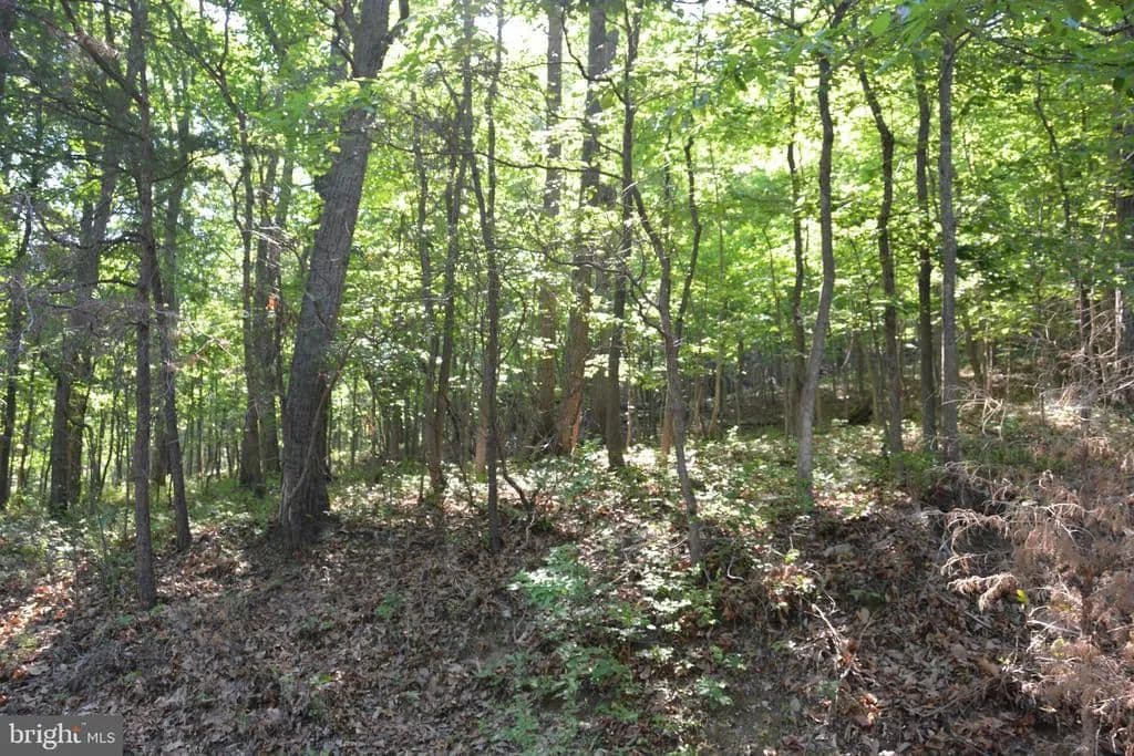 Property from 3 Lots - 59, 60, 61 BALDWIN ROAD - KW - Front Royal, Virginia, 22630