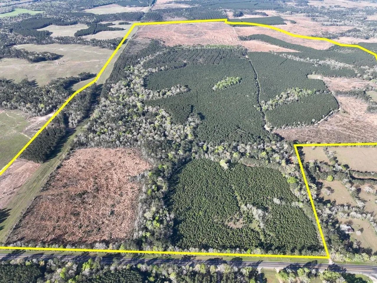 1526 Acres | T-2 | Highway 146 - Livingston, Texas, 77351