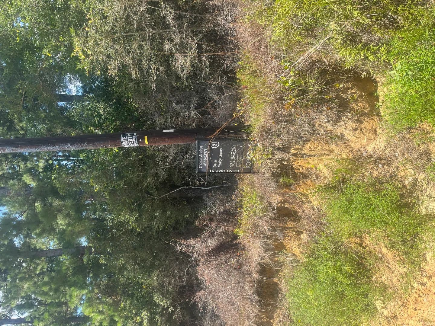 Land -Agricultural (Not Zoned) in Pitkin - Pitkin, Louisiana, 70656