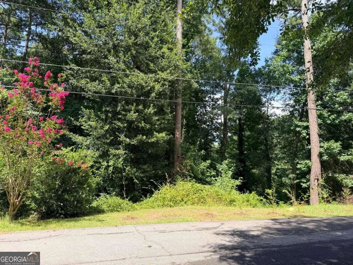 Land for Sale in Conyers, GA - Conyers, Georgia, 30012