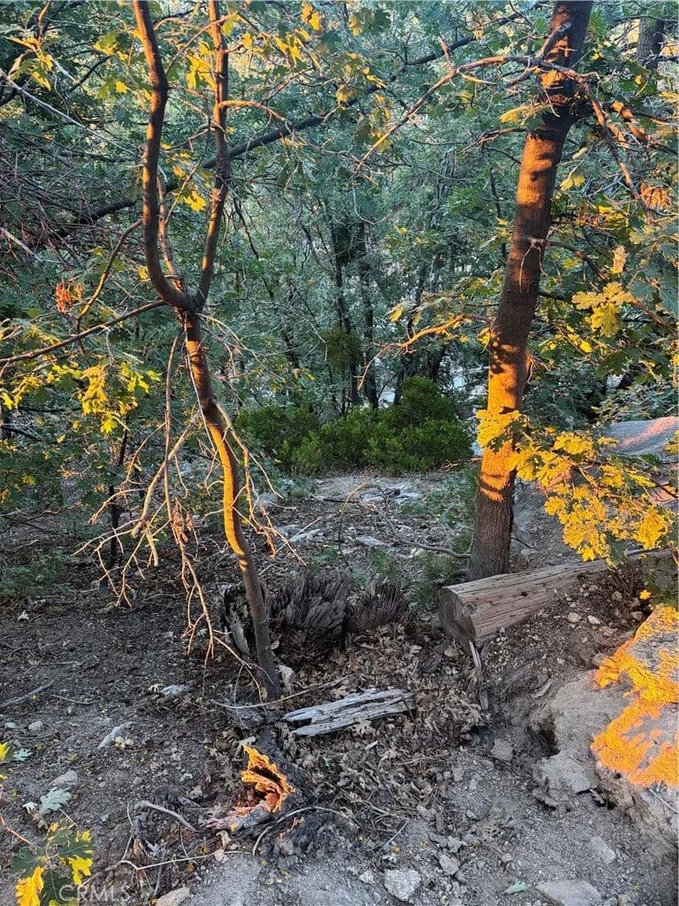 Vacant Land in Crestline - Crestline, California, 92325