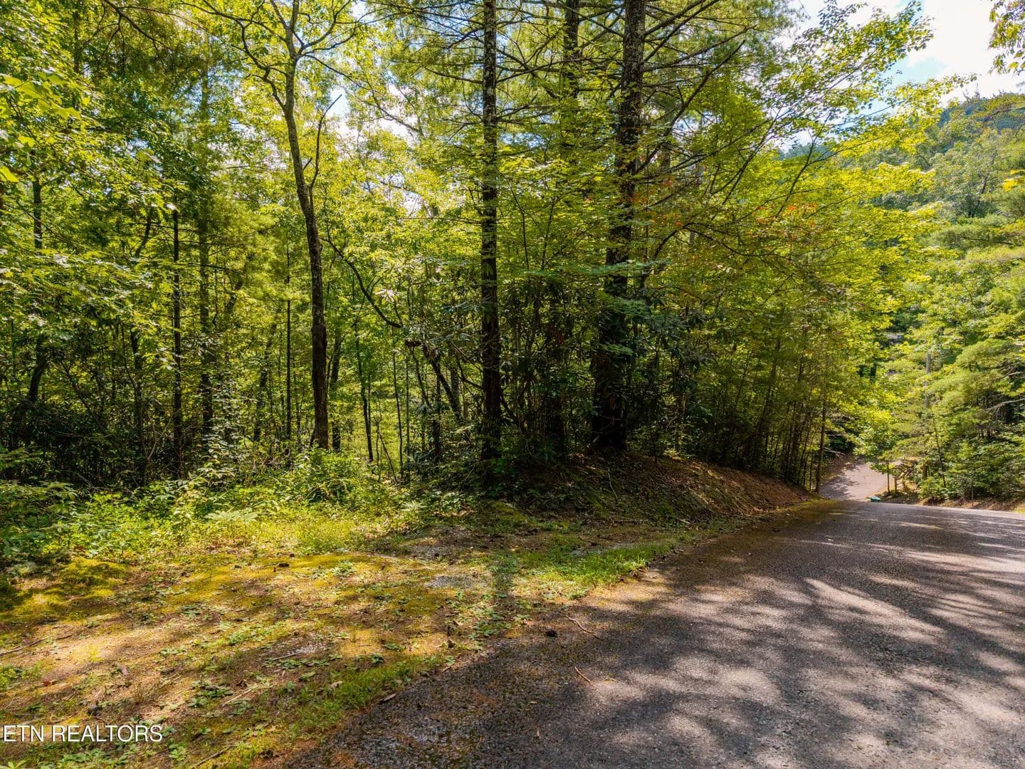 Vacant Land in Townsend - Townsend, Tennessee, 37882