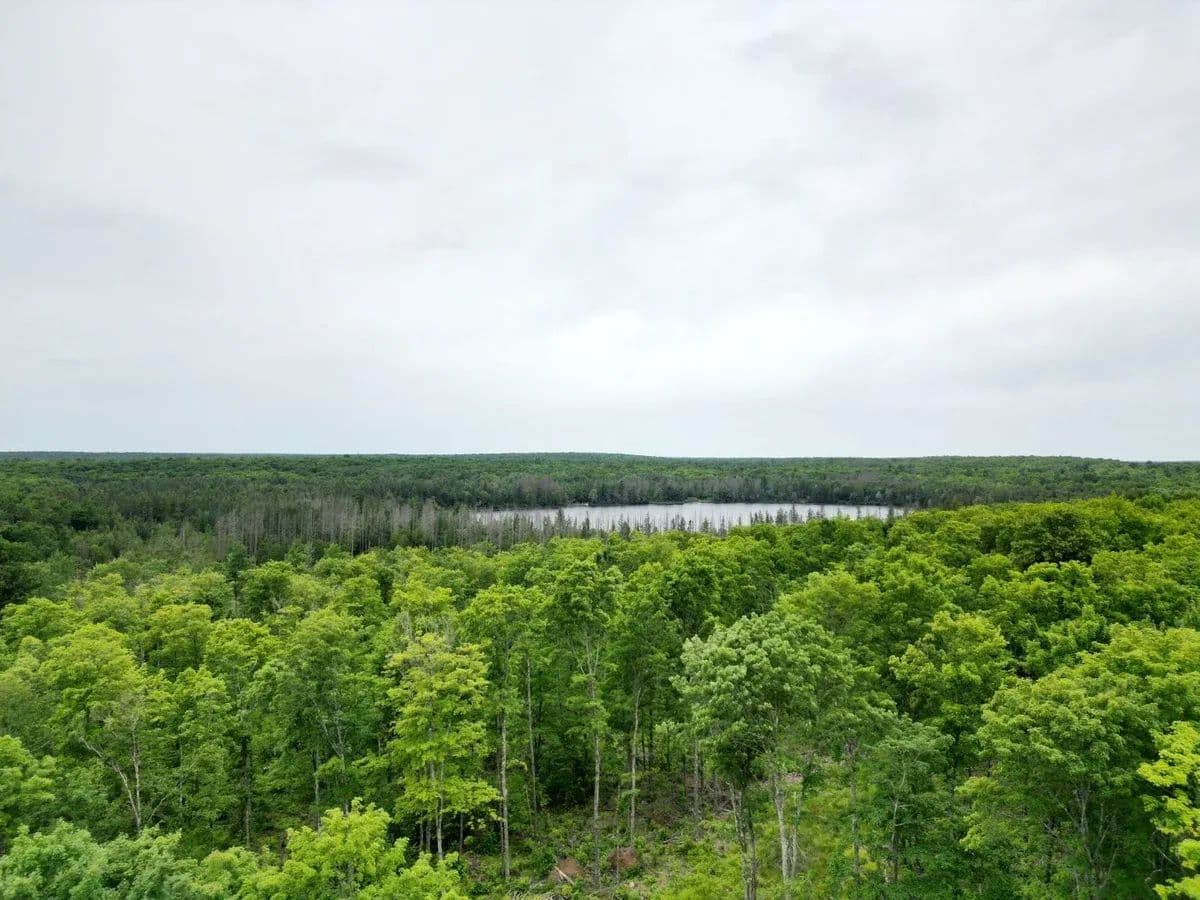 Olson Loop - Iron River, Michigan, 49887