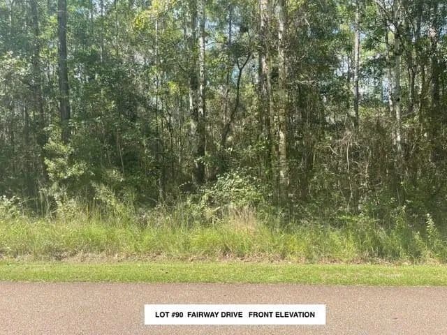 Vacant Land in Abita Springs - Abita Springs, Louisiana, 70420