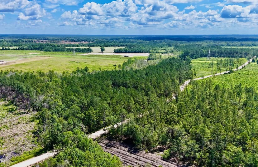 32 Acres of Timber, Wildlife & Country Living