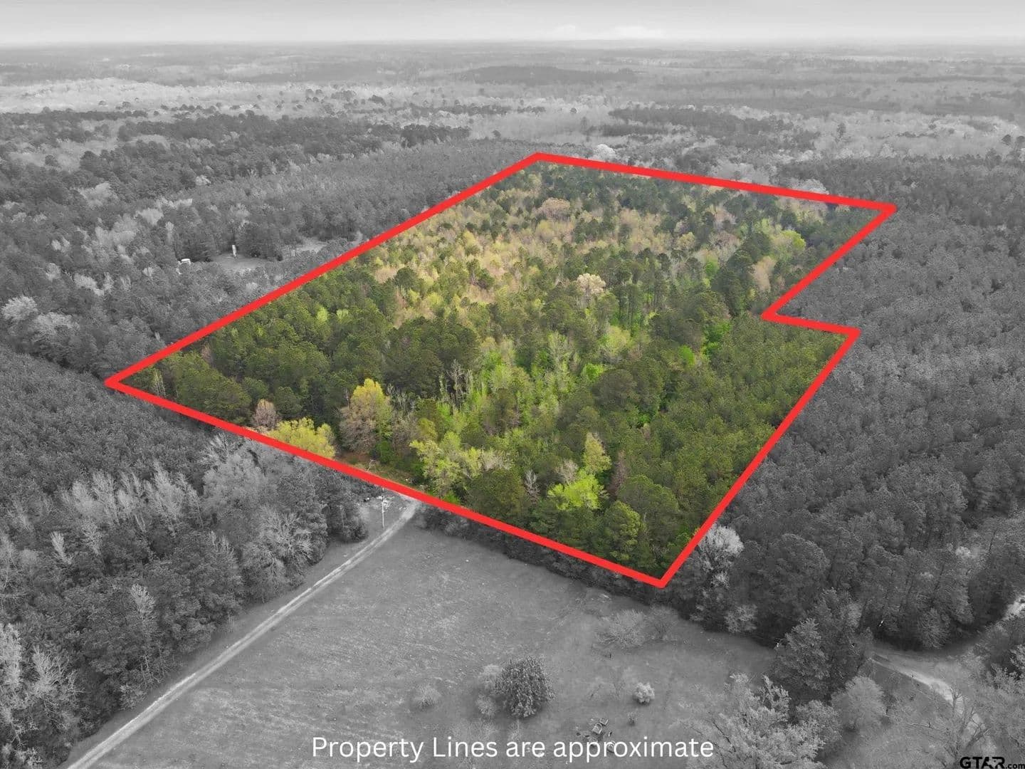 Lots & Land-Other in Linden - Linden, Texas, 75563