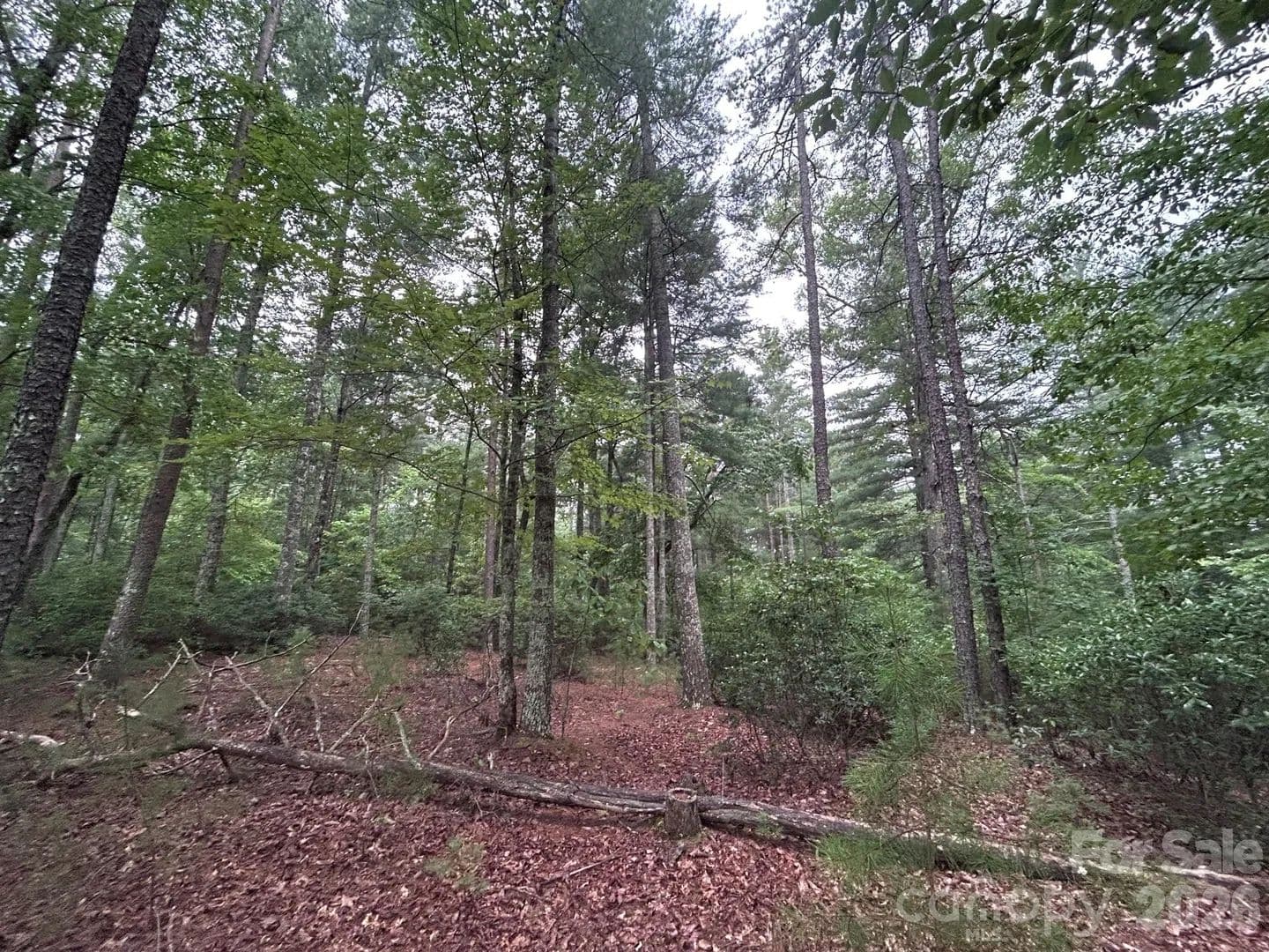 0.92 Acres of Land for Sale in Nebo, NC - Nebo, North Carolina, 28761