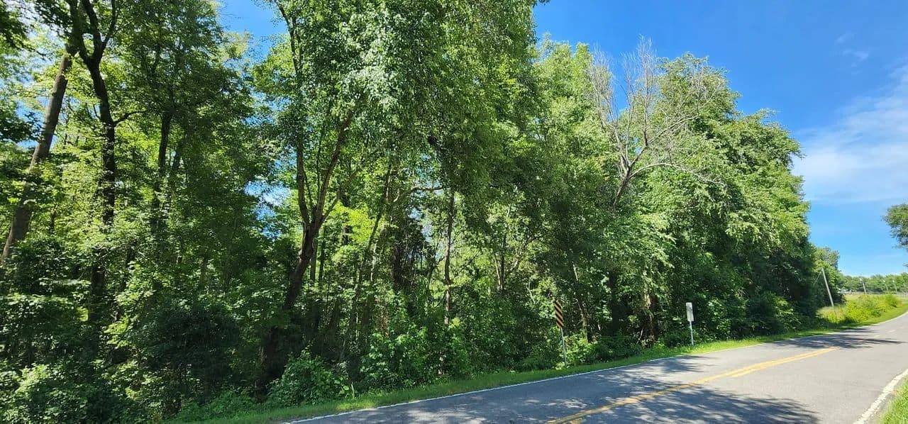 +/- 5ac - 1811 Neelys Creek Rd Rock Hill, SC - York County - Rock Hill, South Carolina, 29730
